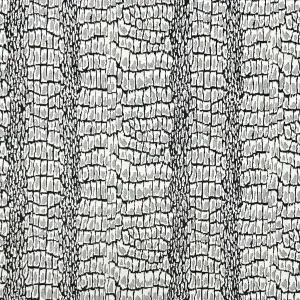 Black and Ivory Snakeskin Knit Fabric - Seconds